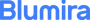 Blumira_Logotype