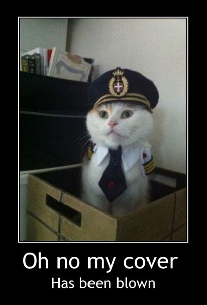 Blown cover cat meme