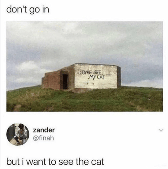 Don't go in meme