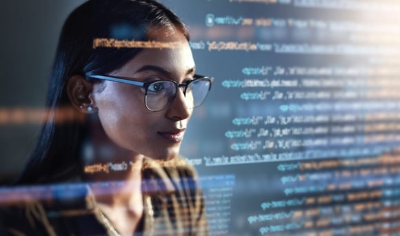 Local government IT employee