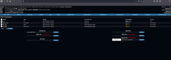 Web server access logs