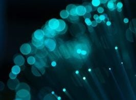 Security Detection Update - 2024-8-20